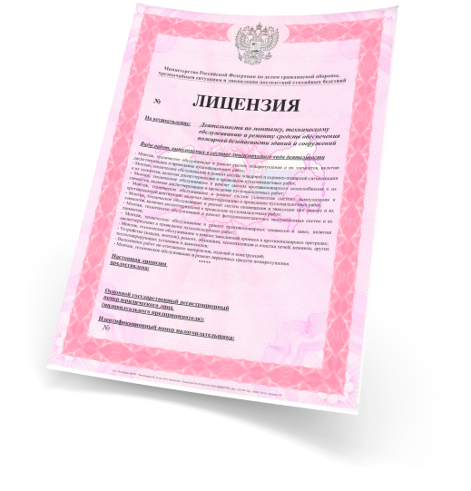 Пример лицензии